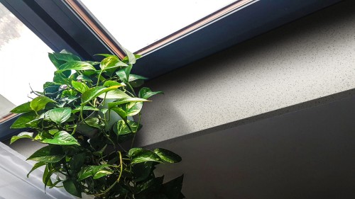 Elegance Eco Nev.jpg